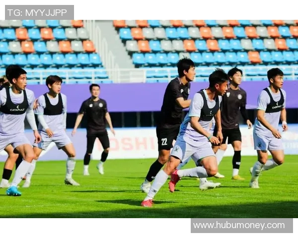 杭州足球队阵地战解析：战术布局与球队未来发展探讨